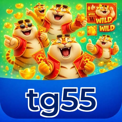 Login rápido no app tg55