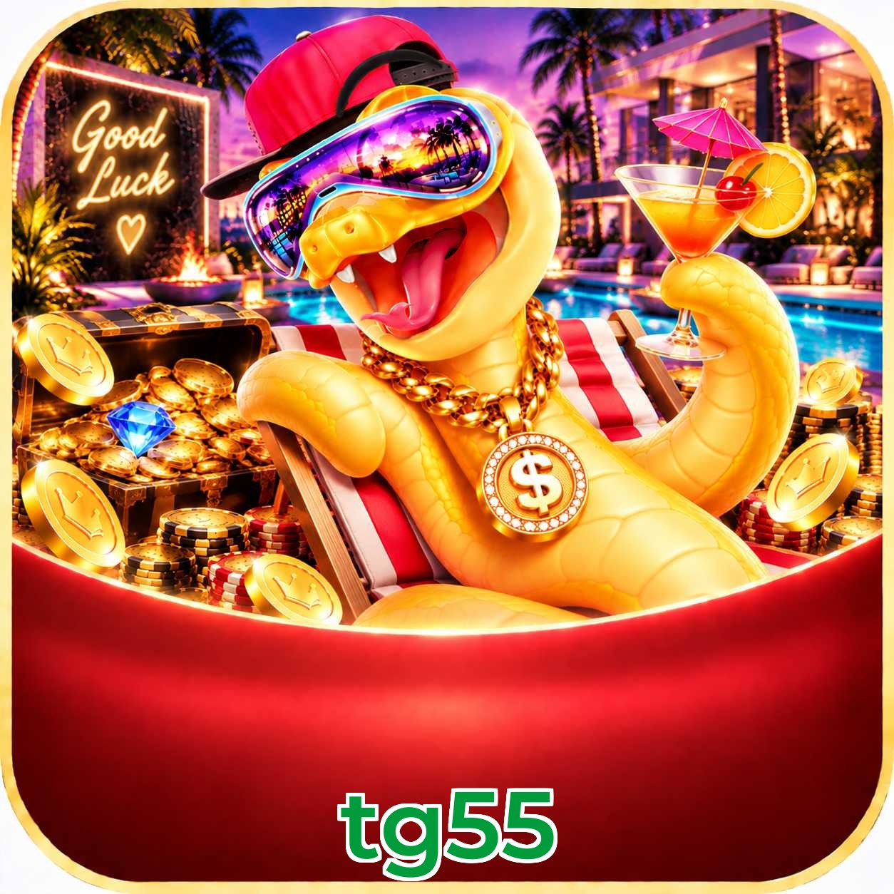 tg55 VIP FAQ