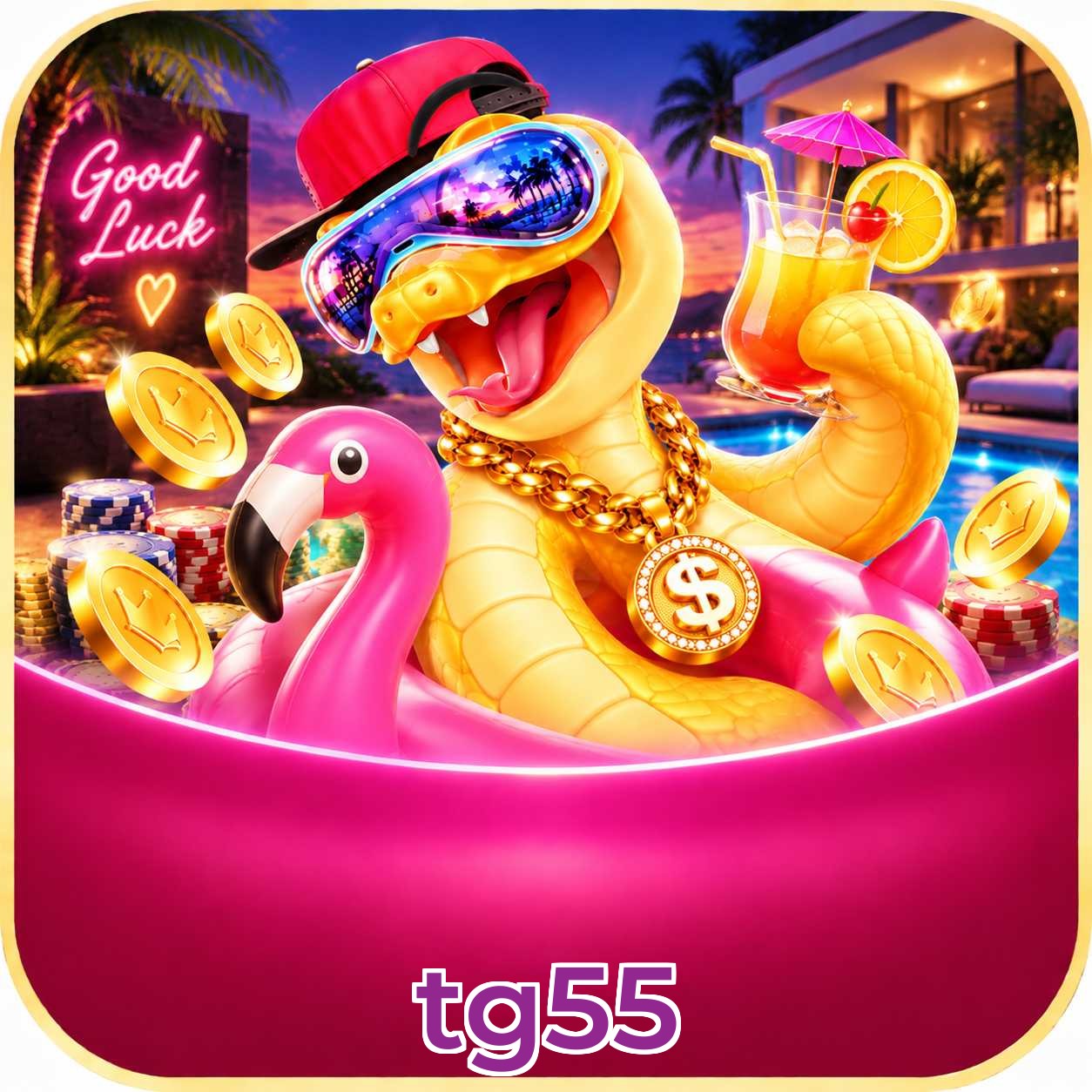 tg55 Logo